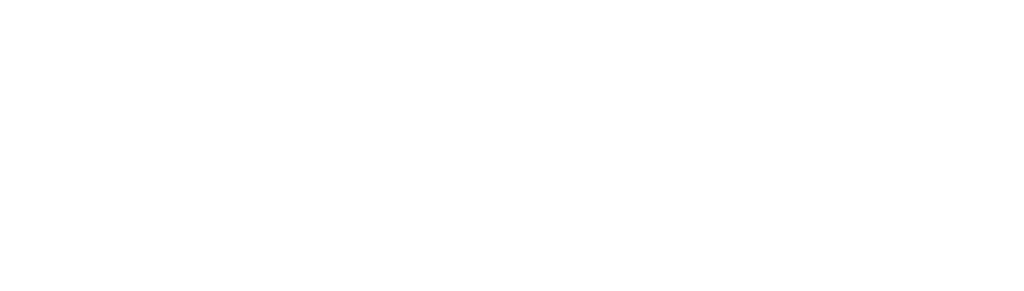 LayConnect